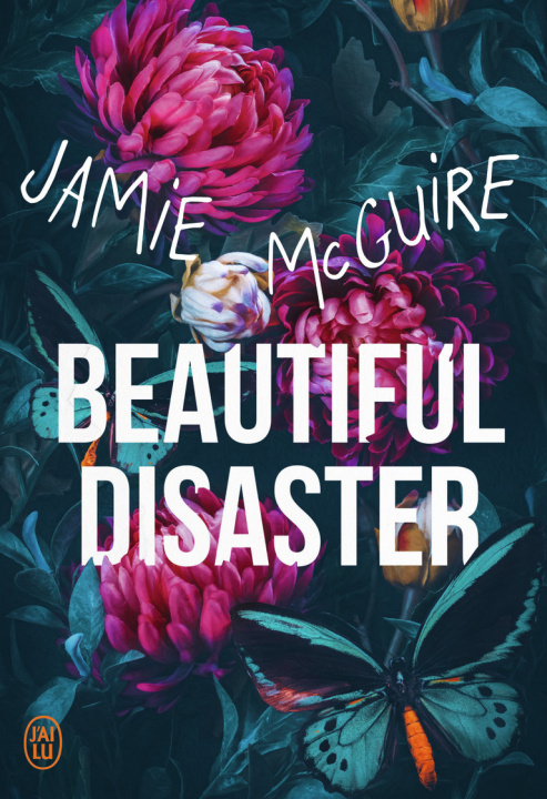 Knjiga Beautiful disaster JAMIE MCGUIRE