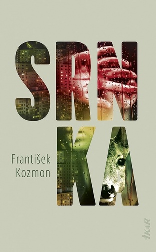 Könyv Srnka František Kozmon