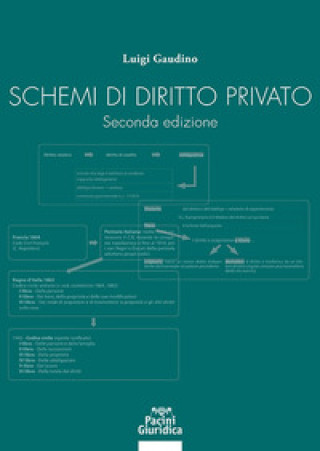 Könyv Schemi di diritto privato Luigi Gaudino