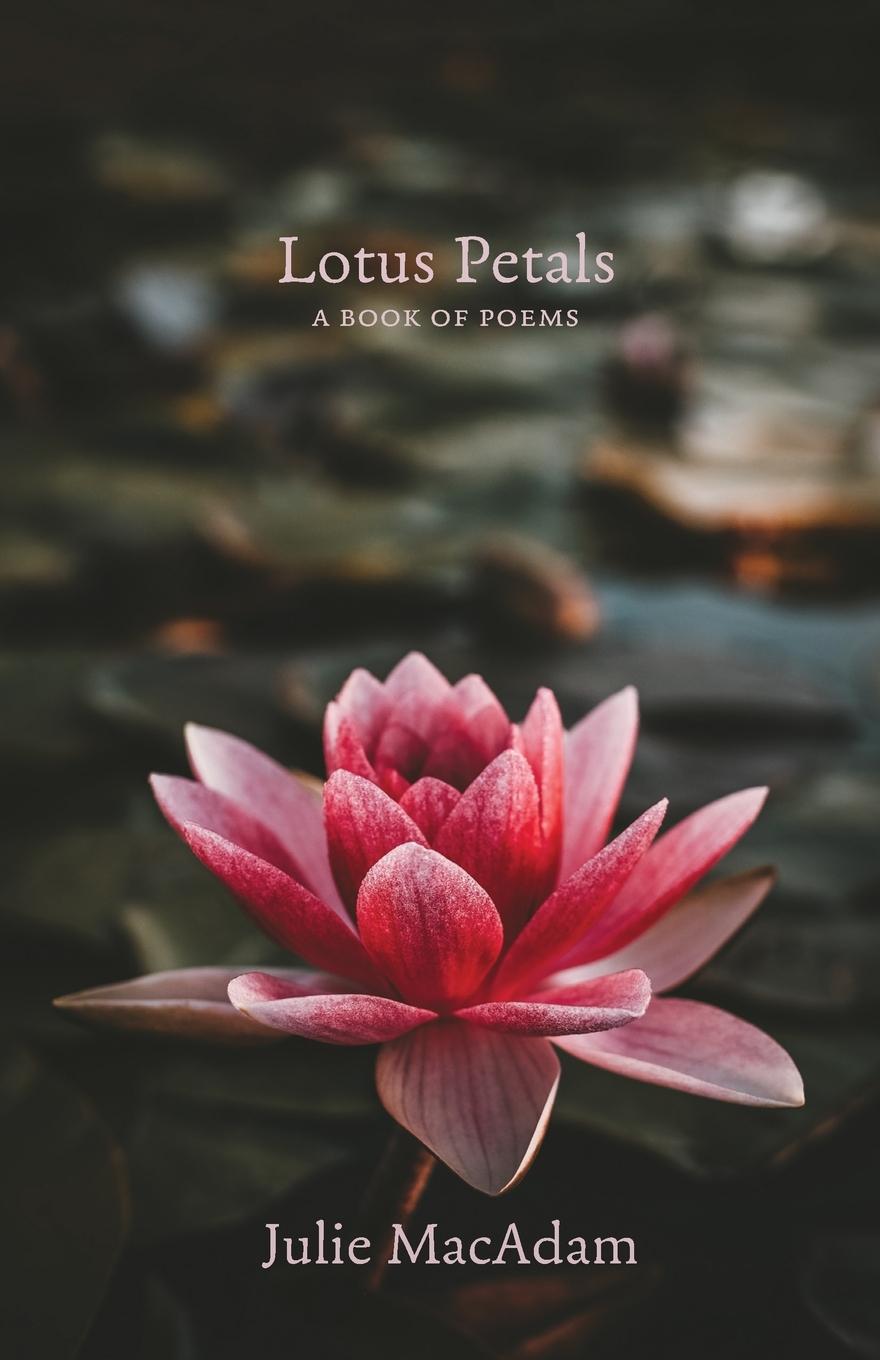 Knjiga Longing & Learning Julie MacAdam