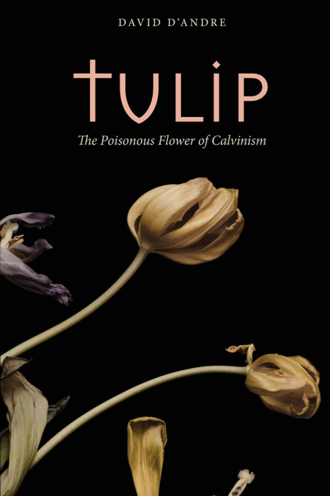 Knjiga Tulip David D'Andre