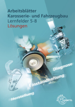 Buch Lösungen zu 20334 Richard Fischer
