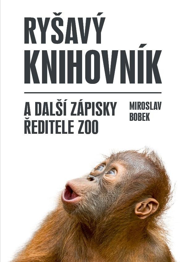 Book Ryšavý knihovník Miroslav Bobek