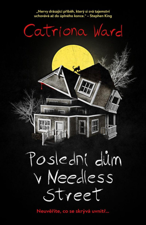 Buch Poslední dům na Needless Street Catriona Ward