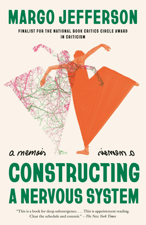 Kniha Constructing a Nervous System 