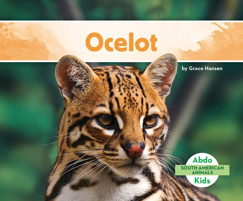 Buch Ocelot 