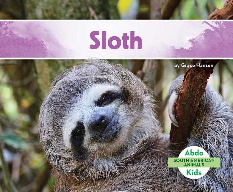 Könyv Sloth 