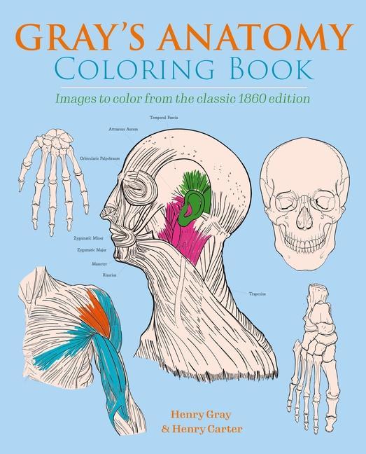 Könyv Gray's Anatomy Coloring Book: Images to Color from the Classic 1860 Edition Henry Carter