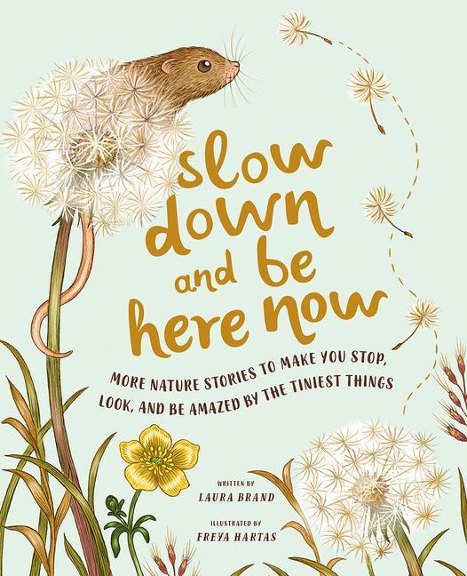 Carte Slow Down and Be Here Now: More Nature Stories to Make You Stop, Look, and Be Amazed by the Tiniest Things Freya Hartas