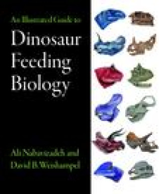 Könyv Illustrated Guide to Dinosaur Feeding Biology David B. (Johns Hopkins University School of Medicine) Weishampel
