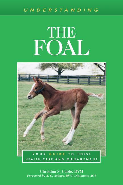 Könyv Understanding the Foal 
