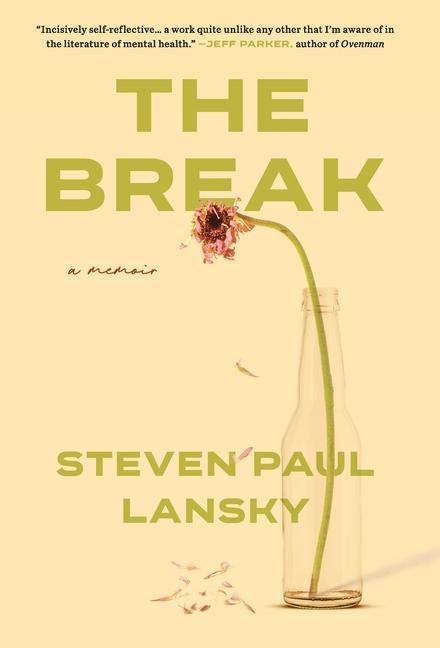 Knjiga Break Steven P Lansky