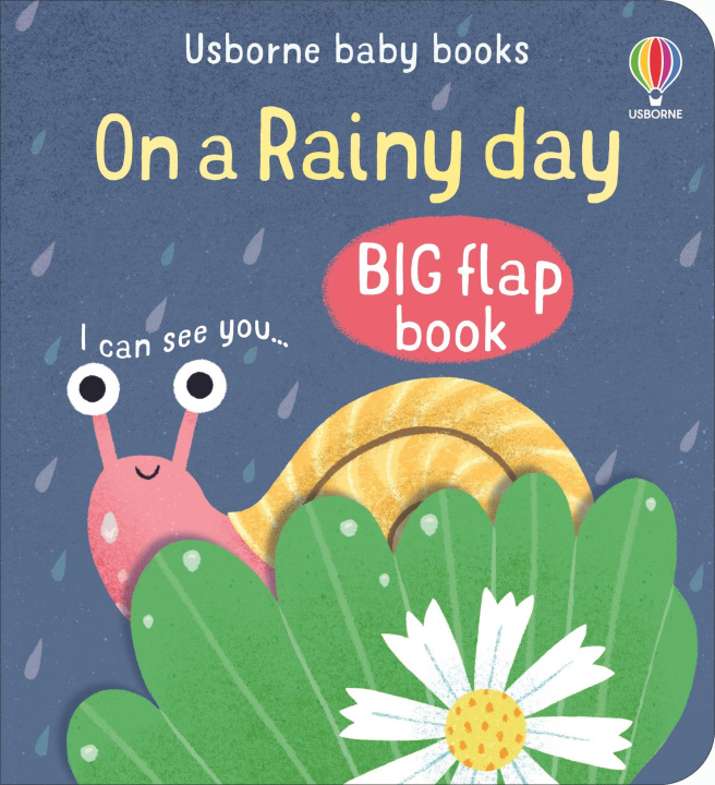 Kniha On a Rainy Day 
