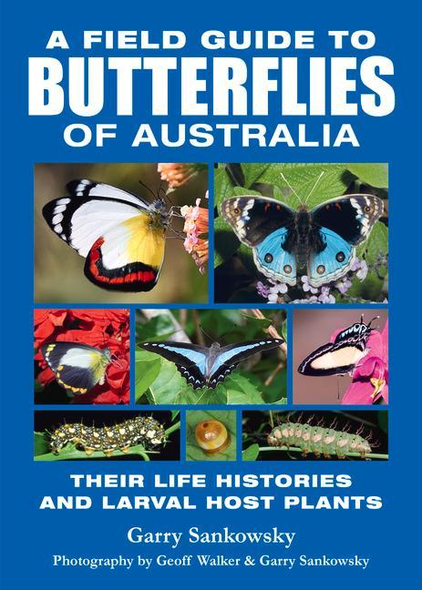 Βιβλίο A Field Guide to Butterflies of Australia: Their Life Histories and Larval Host Plants 