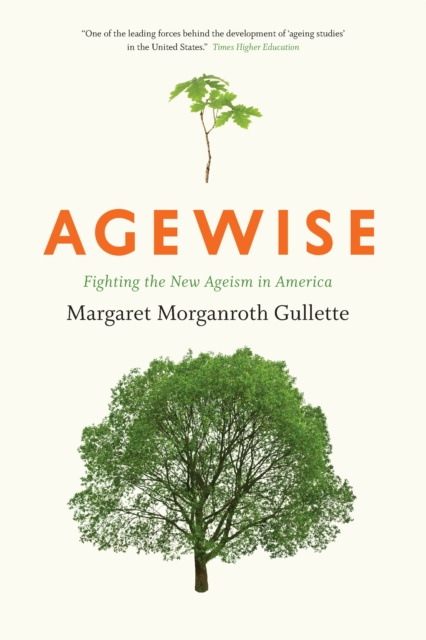 E-knjiga Agewise Gullette Margaret Morganroth Gullette