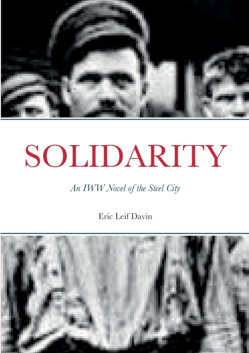 Book SOLIDARITY Eric Leif Davin