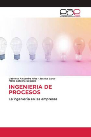 Kniha INGENIERIA DE PROCESOS Jacinta Luna