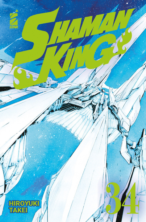 Buch Shaman King. Final edition Takei Hiroyuki