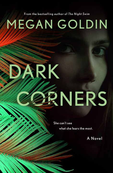 Book Dark Corners Goldin