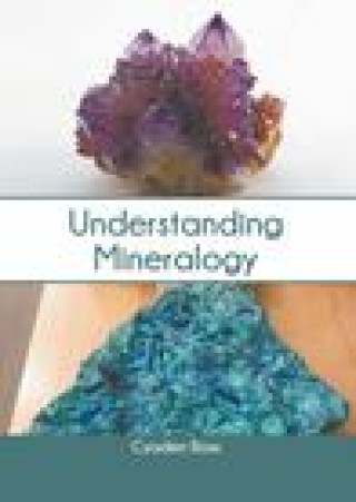 Knjiga Understanding Mineralogy Cyaden Ross