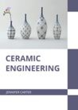 Knjiga Ceramic Engineering 