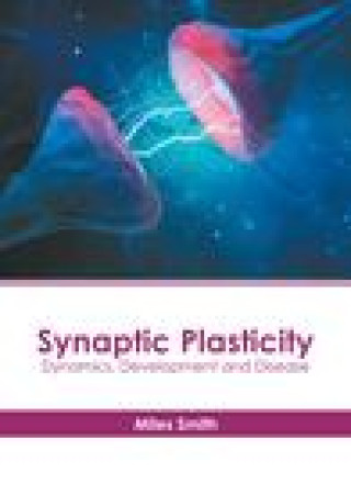 Knjiga Synaptic Plasticity: Dynamics, Development and Disease 