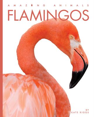 Knjiga Flamingos 