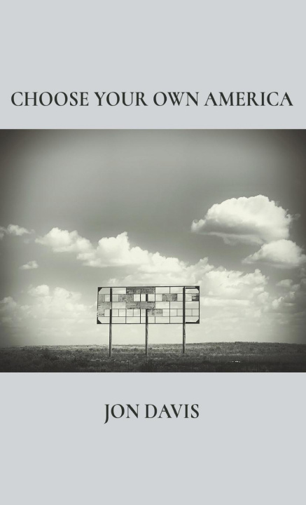Buch Choose Your Own America Jon Davis