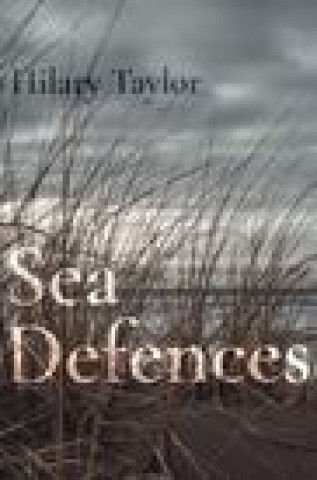 Buch Sea Defences Hilary Taylor