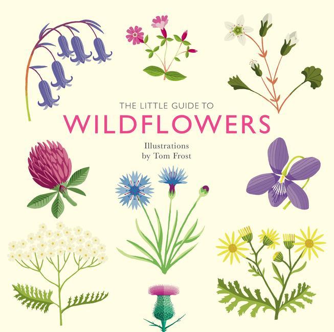 Könyv Little Guide to Wildflowers Tom Frost