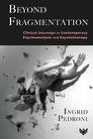 Book Beyond Fragmentation Pedroni