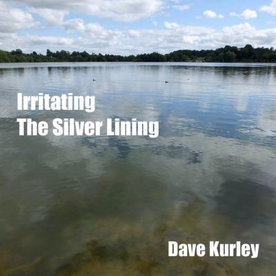 Boek Irritating the Silver Lining Dave Kurley