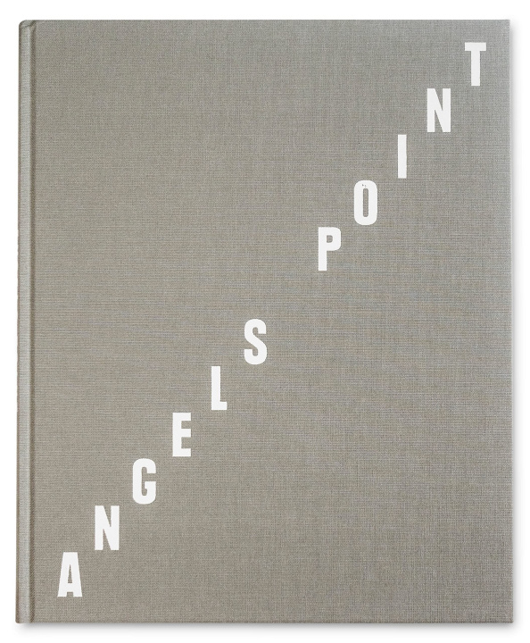 Knjiga Angel's Point Adam Ianniello