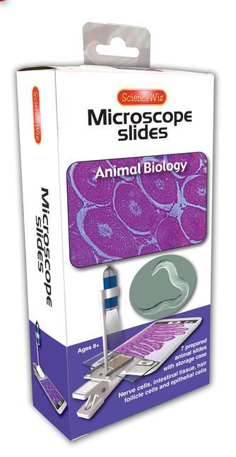 Book Microscope Slides: Animal Biology Slides (Set of 7) 