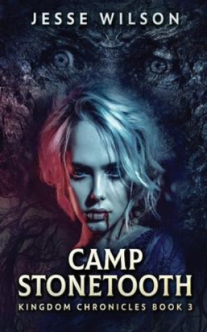 Buch Camp Stonetooth Jesse Wilson