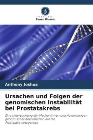 Kniha Ursachen und Folgen der genomischen Instabilität bei Prostatakrebs 