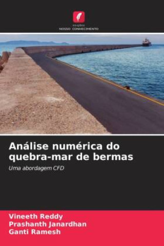 Buch Análise numérica do quebra-mar de bermas Prashanth Janardhan