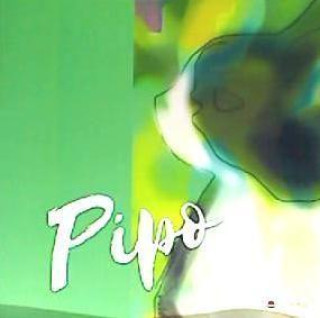 Knjiga Pipo 