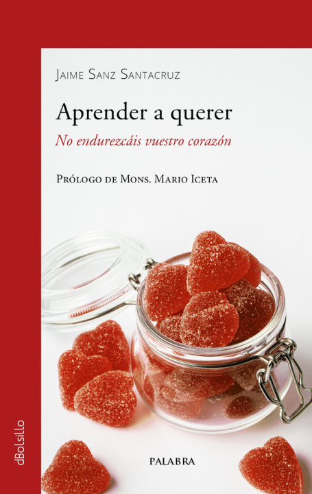 Book Aprender a querer SANZ SANTACRUZ