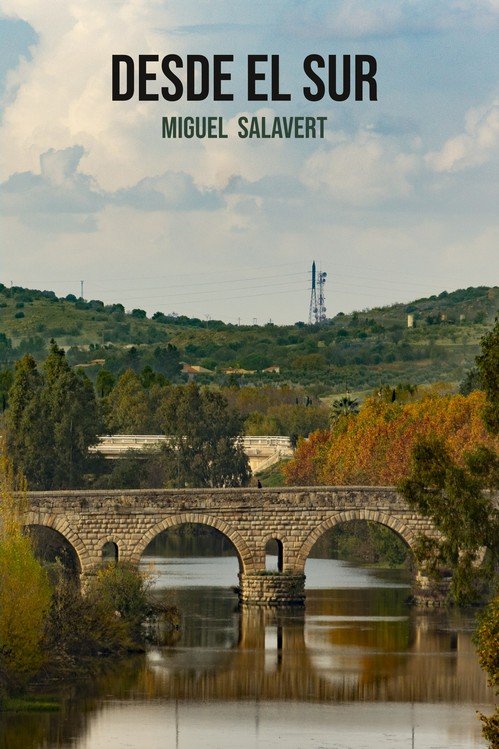 Boek DESDE EL SUR (NOVELA) MANZANERA