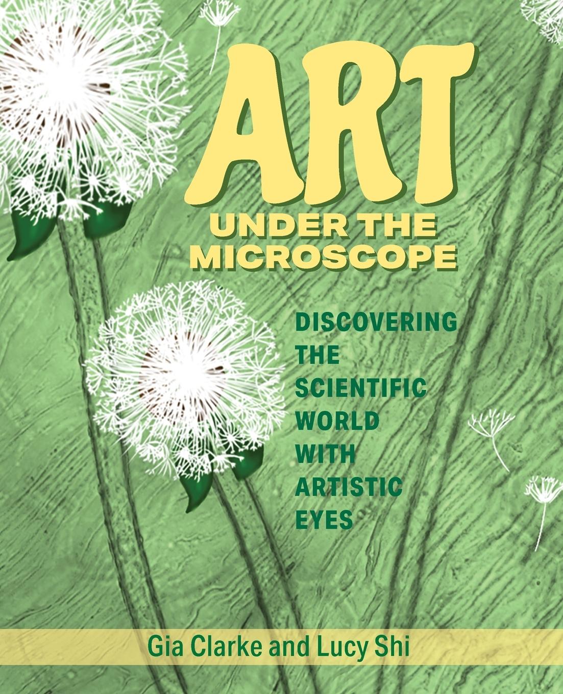 Könyv Art Under the Microscope Lucy Ruoxi Shi