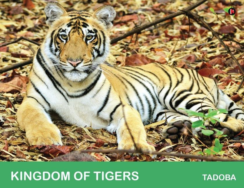 Kniha Kingdom of Tigers - Tadoba 