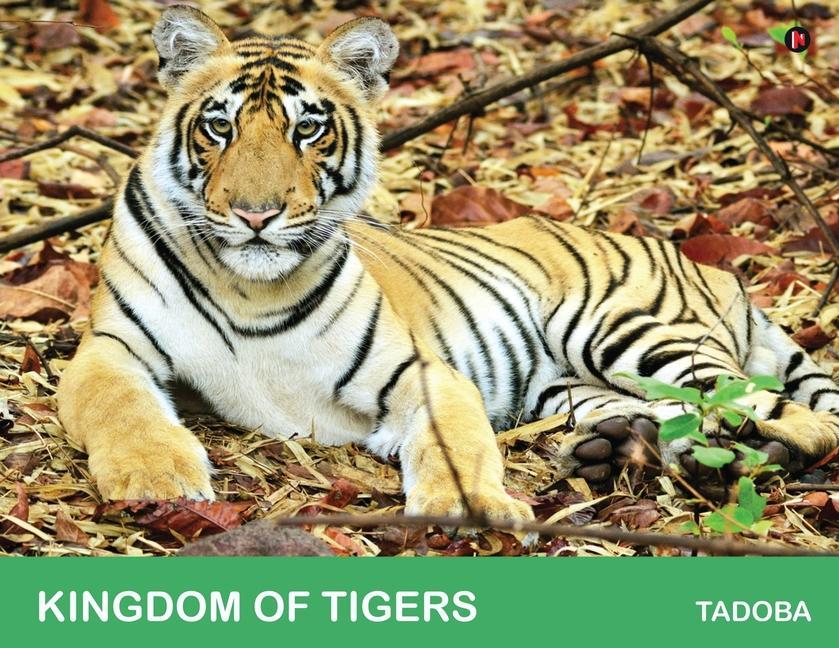 Книга Kingdom of Tigers - Tadoba 