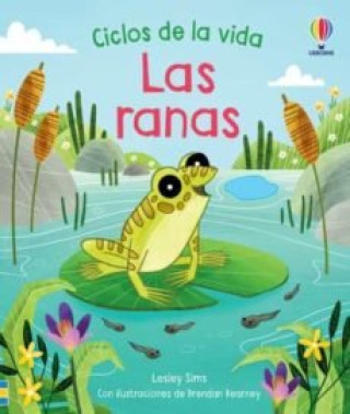 Kniha LAS RANAS CICLOS DE LA VIDA 