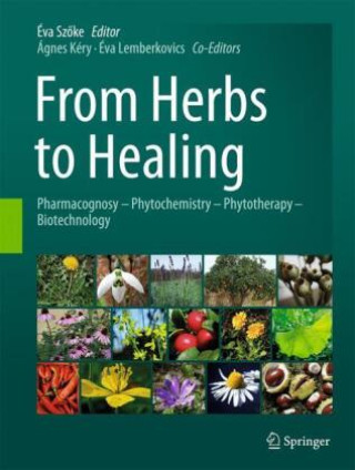 Kniha From Herbs to Healing Éva Szöke