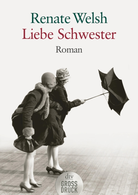 E-knjiga Liebe Schwester Renate Welsh