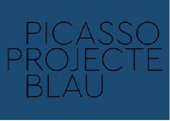 Boek PICASSO PROJECTE BLAU 