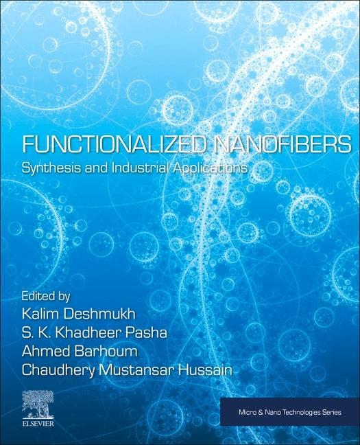 Könyv Functionalized Nanofibers Kalim Deshmukh