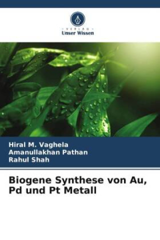 Kniha Biogene Synthese von Au, Pd und Pt Metall Amanullakhan Pathan