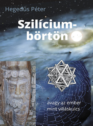 Knjiga Szilíciumbörtön Hegedűs Péter